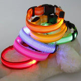 Collier lumineux LED pour chien