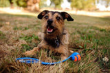 Balles flottantes en caoutchouc pour chien, 6 cm, lot de 2