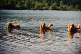 Balles flottantes en caoutchouc pour chien, 6 cm, lot de 2