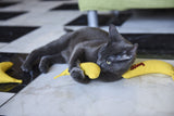Banane à l'herbe à chat pour chat, jaune, 18 cm