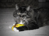 Banane à l'herbe à chat pour chat, jaune, 18 cm