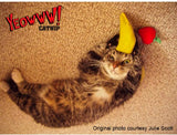 Banane à l'herbe à chat pour chat, jaune, 18 cm