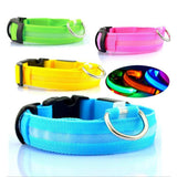 Collier lumineux LED pour chien