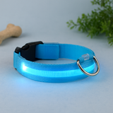 Collier lumineux LED pour chien