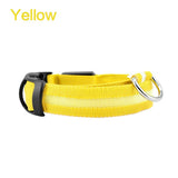 Collier lumineux LED pour chien