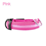 Collier lumineux LED pour chien