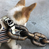 Laisse effet grosse chaîne pour chien