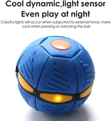 Balle lumineuse résistante pour chien