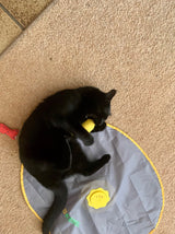 Banane à l'herbe à chat pour chat, jaune, 18 cm
