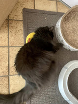 Banane à l'herbe à chat pour chat, jaune, 18 cm