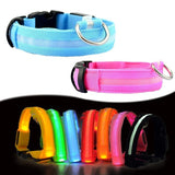 Collier lumineux LED pour chien
