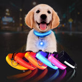 Collier lumineux LED pour chien