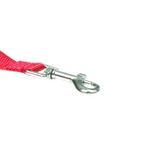 Longe de dressage et de rappel pour chien, 1,8 à 30 m
