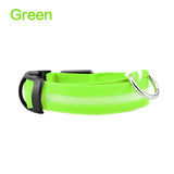 Collier lumineux LED pour chien