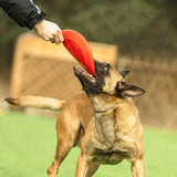 Frisbee en caoutchouc pour chien
