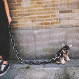 Laisse effet grosse chaîne pour chien