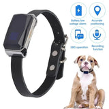Traceur GPS étanche pour collier de chien et chat