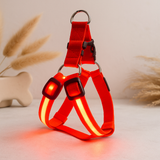 LED Nylon Pet Safety Harness