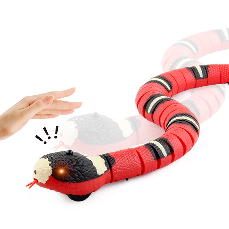 Interactive Snake Cat Toy